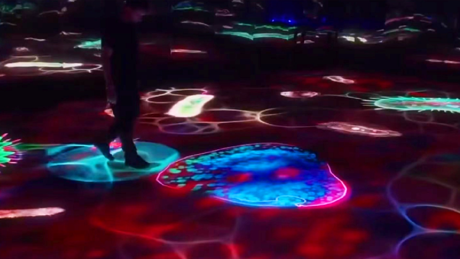 Interactive Experiences3